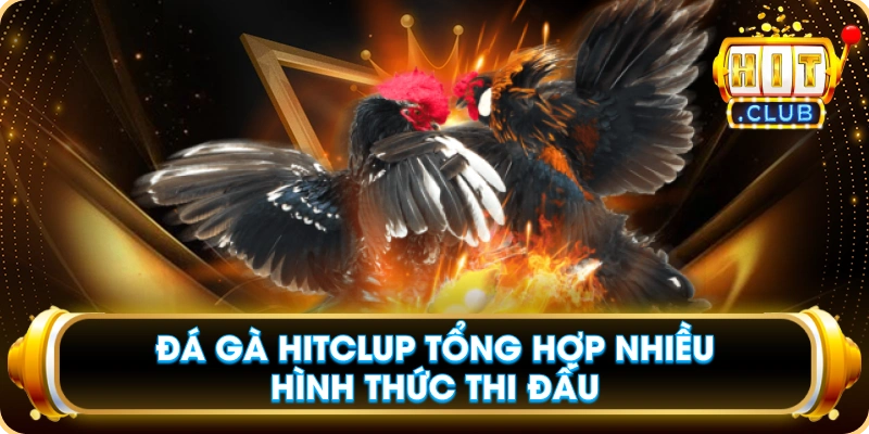 Đá Gà Hitclup Tổng Hợp Nhiều Hình Thức Thi Đấu