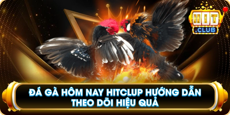 Đá Gà Hôm Nay Hitclup Hướng Dẫn Theo Dõi Hiệu Quả