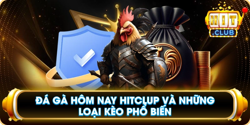 Đá Gà Hôm Nay Hitclup Và Những Loại Kèo Phổ Biến