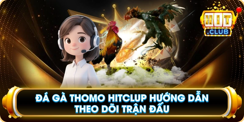 Đá Gà Thomo Hitclup Hướng Dẫn Theo Dõi Trận Đấu