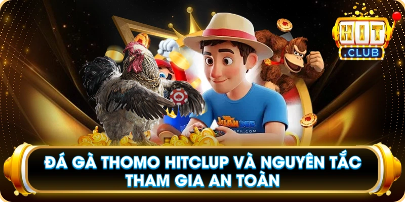 Đá Gà Thomo Hitclup Và Nguyên Tắc Tham Gia An Toàn