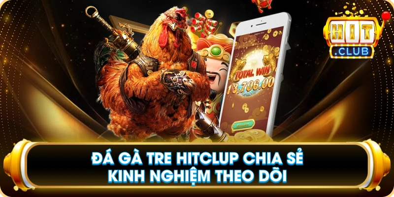 Đá Gà Tre Hitclup Chia Sẻ Kinh Nghiệm Theo Dõi