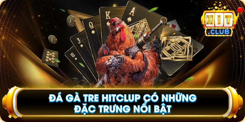 Đá Gà Tre Hitclup Có Những Đặc Trưng Nổi Bật